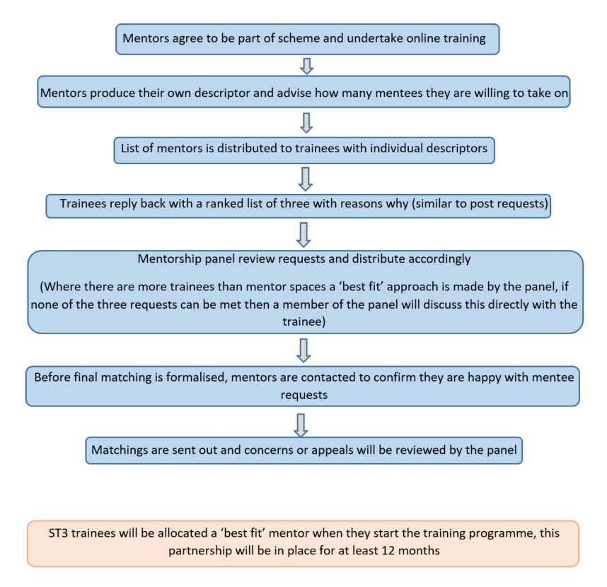 Selection process for mentoring.jpg