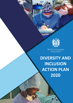 DI Action Plan cover.png