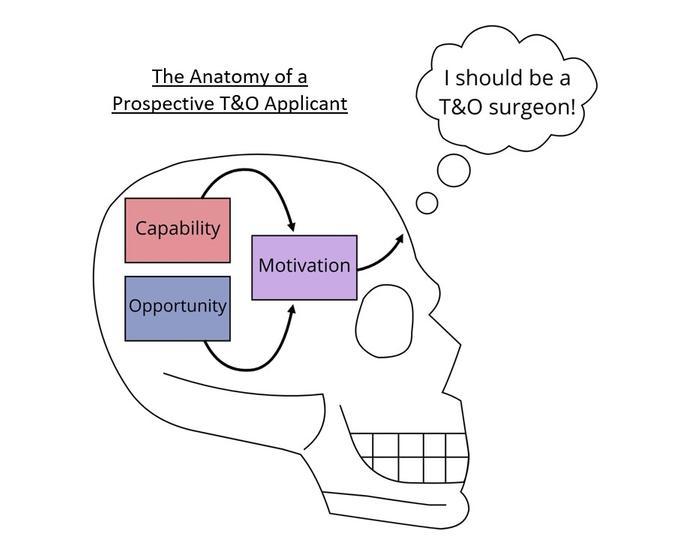 Figure 2 Uppal.jpg