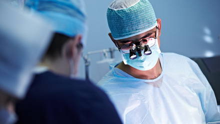 shutterstock_226271230 (1).jpg