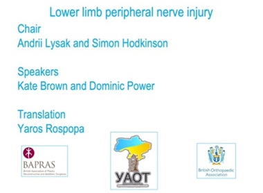 Lower limb nerve injuries and reconstruction image