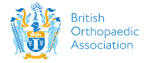 BOA logo.png