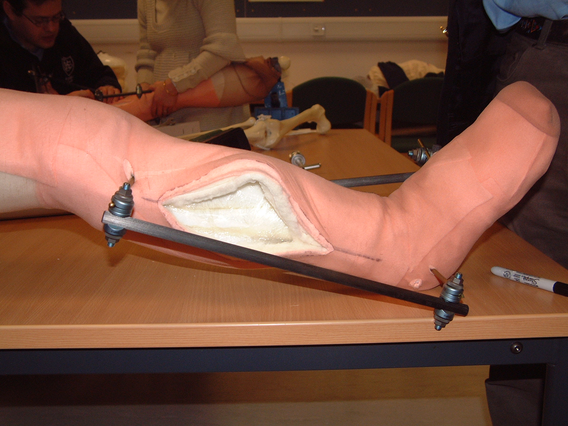 Figure 1 Original Fasciotomy Simulation Model.JPG