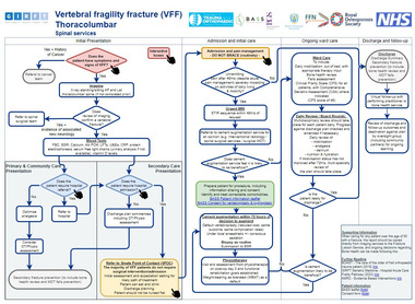 National pathway demonstrates best practice in the care of patients with vertebral fragility fractures image