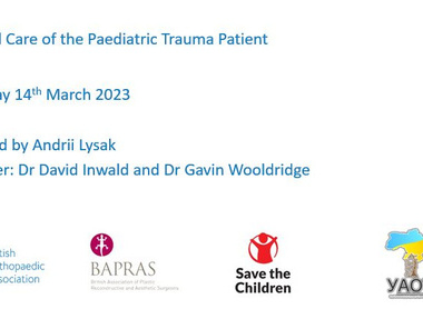 Critical care of the paediatric trauma patient image