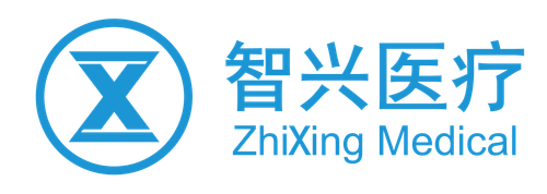 logoZX-09+-.png