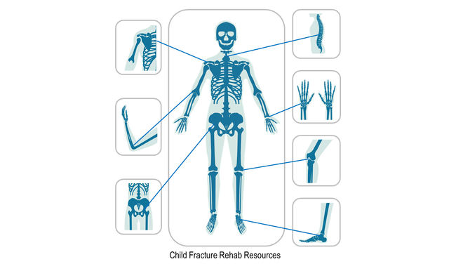 Child skeleton_borders_white_space.png
