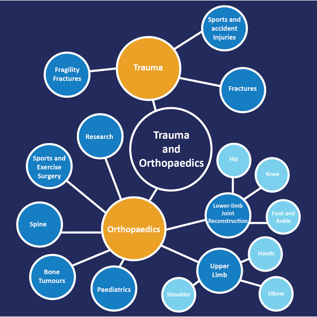 Specialties in Orthopaedics.png