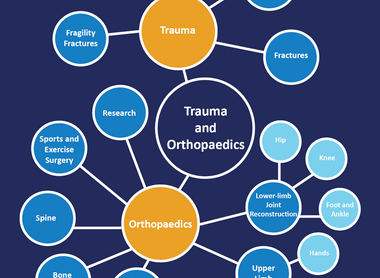 Specialties in orthopaedics image
