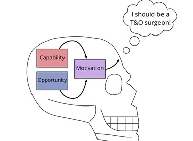 Pursuing a career in trauma and orthopaedics: using behavioural science as a skeleton image