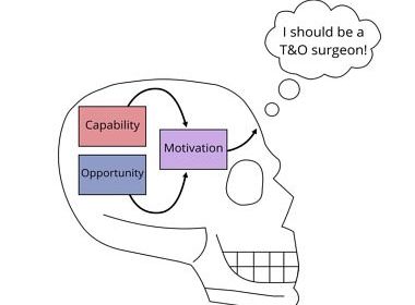 Pursuing a career in trauma and orthopaedics: using behavioural science as a skeleton image