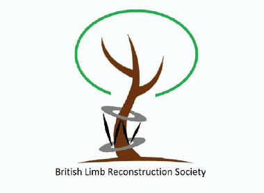 BLRS Fellowships image