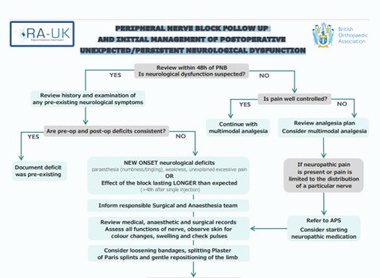 RAUK and BOA algorithm for suspected neurological injury image
