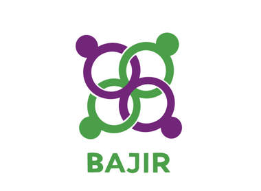 Bone and Joint Infection Registry (BAJIR) image