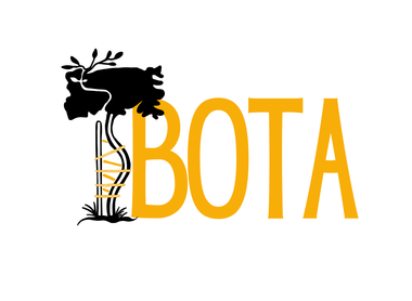 British Orthopaedic Trainees Association (BOTA) image