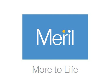 Meril Life Sciences image