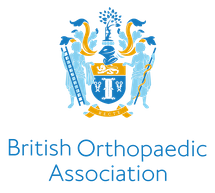boa-final-identity-091018_verticallockup-fullcolour_042345281.png