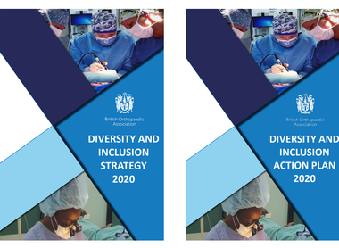 Diversity and Inclusion Strategy and Action Plan image