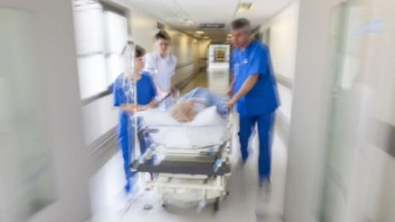 NHFD image.jpg